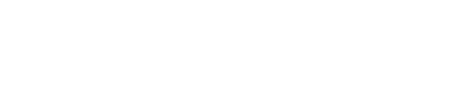 Guacolda Energía